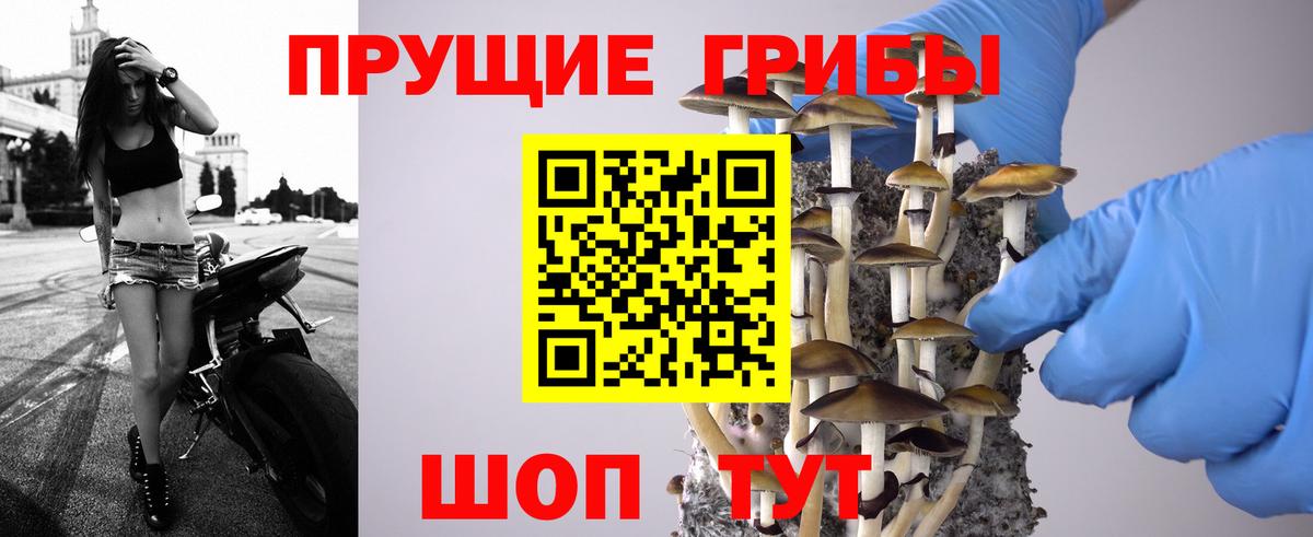 Псилоцибиновые грибы мухоморы  Вход с VPN  Выборг 