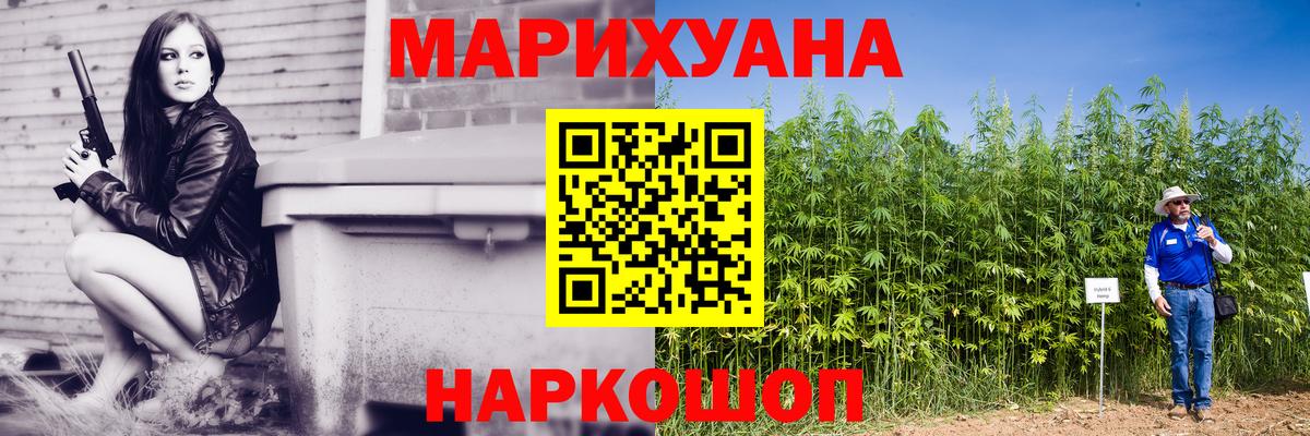 Бошки марихуана конопля  Вход с VPN  Выборг  Каннабис Ganja  Каннабис конопля 